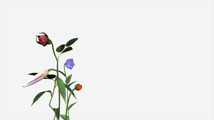 フィルムストリップA